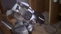 Электрическая диагональная  пила Einhell KGS250